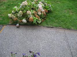 concrete pad brick border 2010